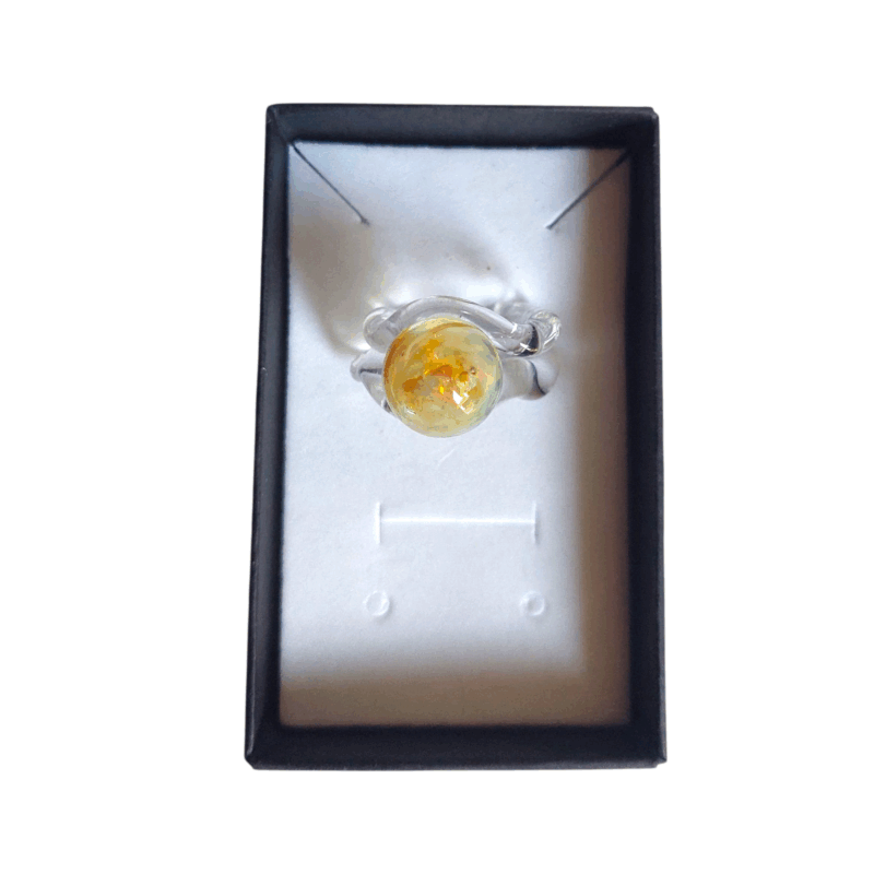 Anillo Galaxia